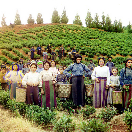 Çay 'ın Tarihçesi